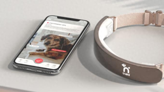 超5000萬！寵物情感AI創企獲新融資，華人創辦，要做寵物行為“翻譯”項圈