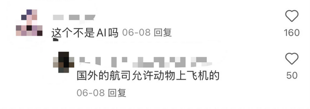 DeepSeek等大模型集體“打標”，從此告別AI造假？