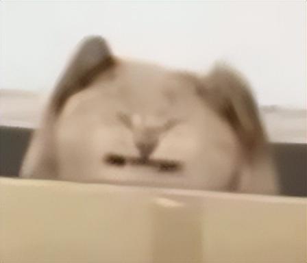 刚发布就降1250!这1TB顶配把网友都整不会了