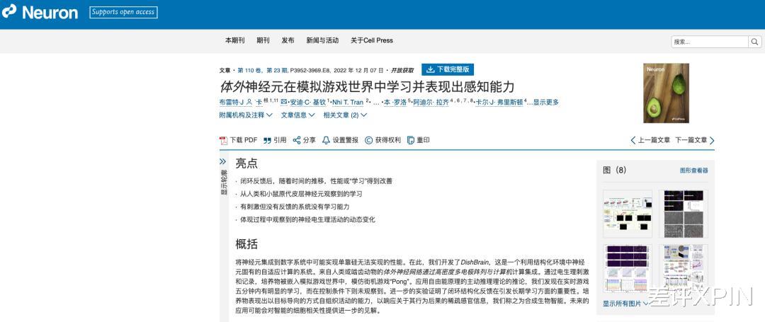 用人脑细胞跑AI,我快搞不懂这个世界了