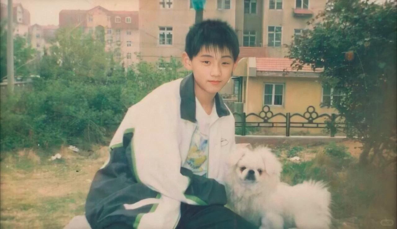 拔出萝卜带出泥！没想到白百合老公不要的前妻 成了张继科手中的宝