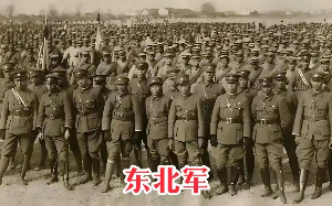 张学良身负国恨家仇，却在面对日军时，为何表现的如此懦弱？又为何死不抵抗？