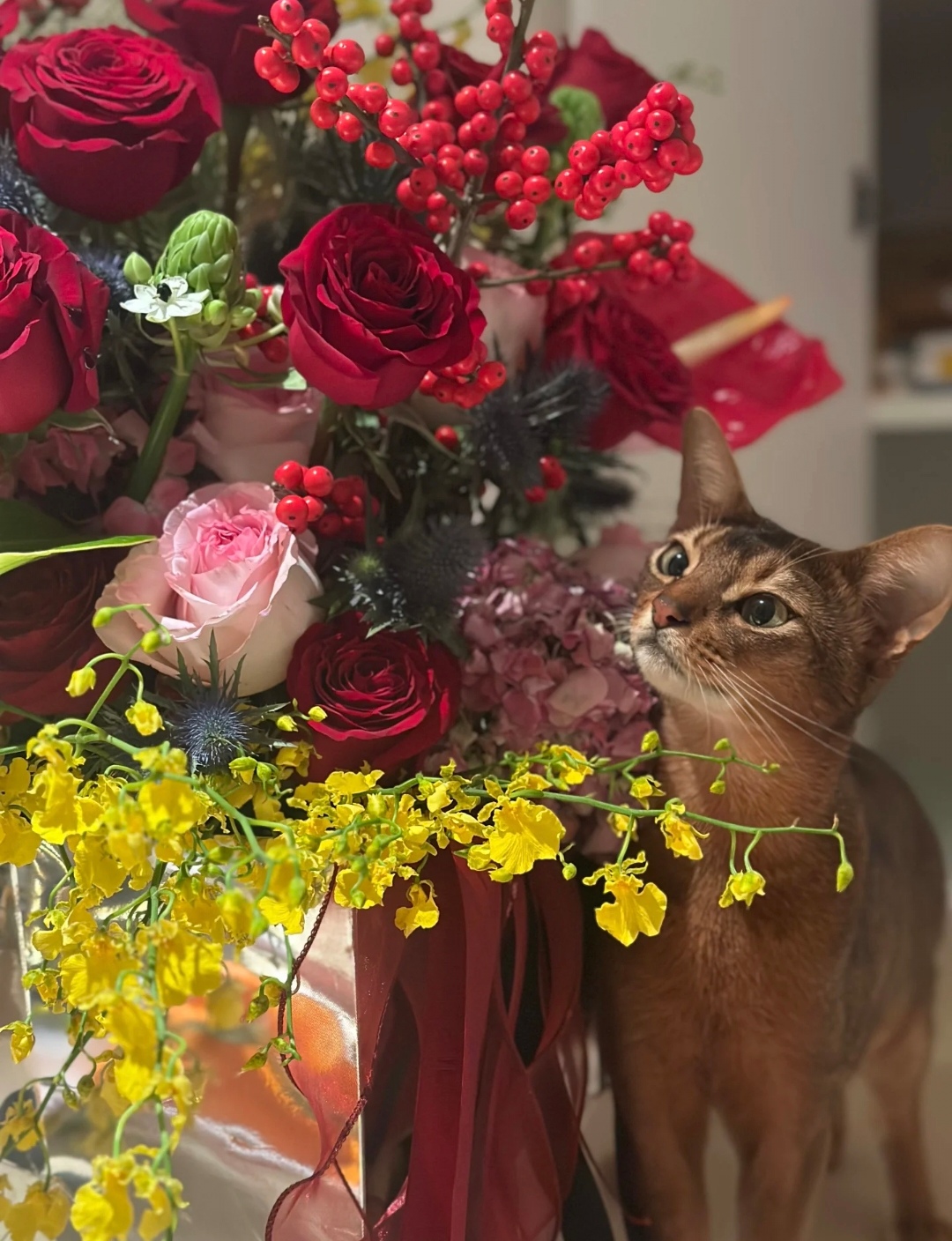 黄轩女友秀恩爱，在一起5年仍很甜，网友：这才是我们想要的嫂子