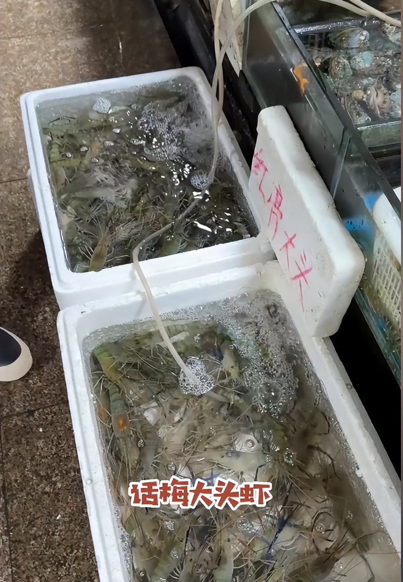 演员马晓峰办家宴!患癌后遗症说不清话,老友王一楠姚安濂来探望