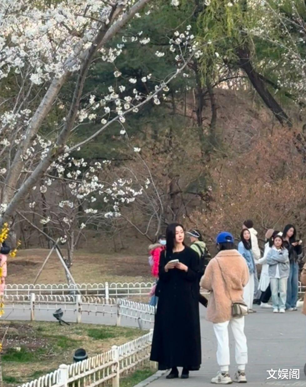 白敬亭宋轶都去看了樱花，一个包裹严实一个精心化妆，评论区炸锅