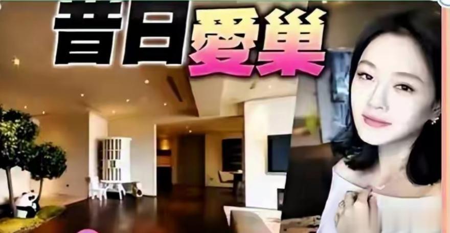 明抢暗算？大S豪宅3.8亿拍卖大战，一家人乱成一锅粥，具俊晔还笑