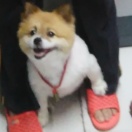 雪兰漫说小姐姐