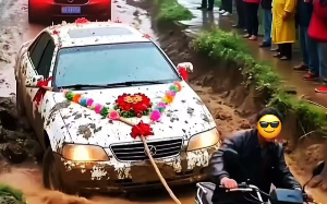 邻居为了省五千块钱，阻拦村里集资修路，可等到儿子结婚那天，全家人都傻眼了