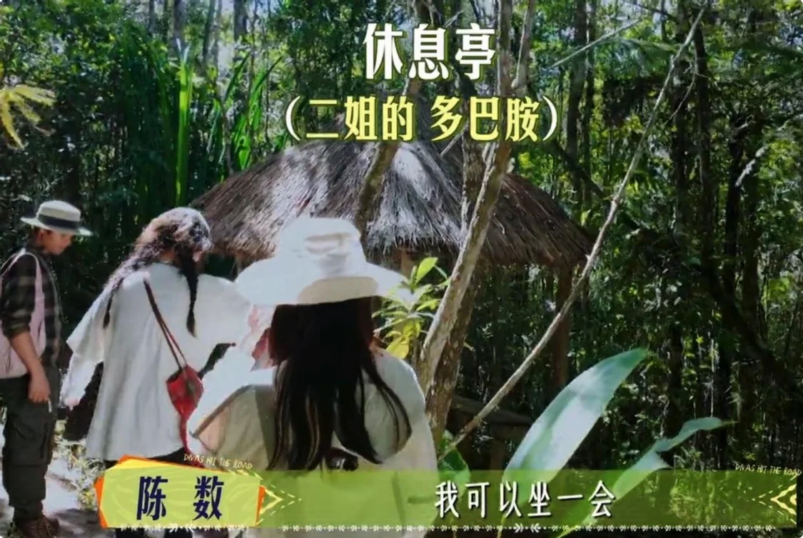 看了陈数的状态,才知道淡妆出镜也可以很优雅