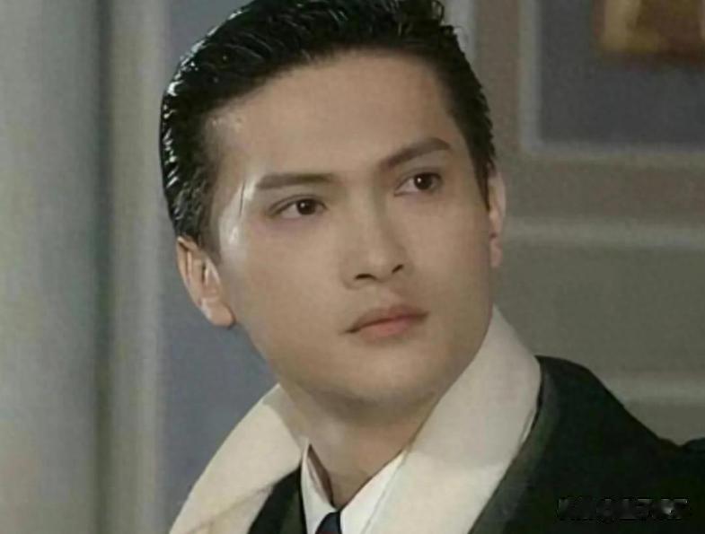 影帝为自闭症儿子息影，花3000万治疗陪伴，如今“傻”儿子变学霸