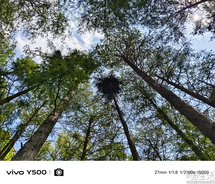 vivo Y500評測：超耐用大電池，入門機新標桿