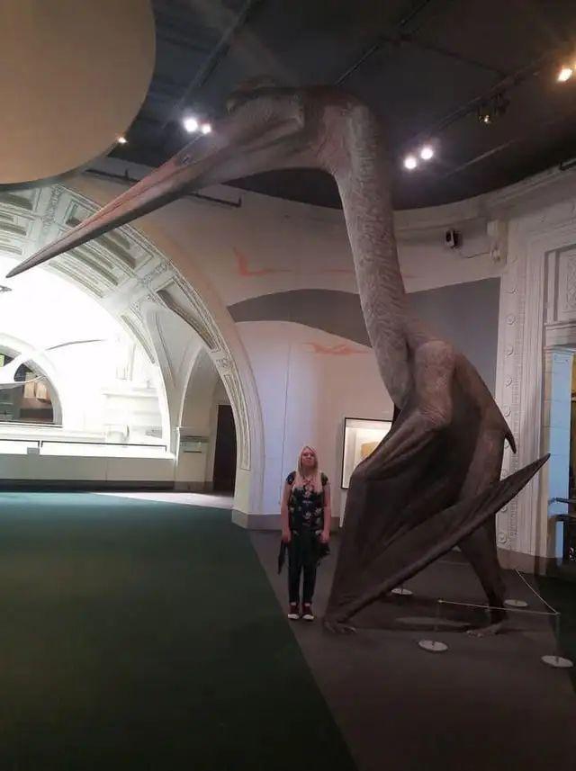 30张活久未见的照片:迈克尔杰克逊生前要演蝙蝠侠!定妆照都拍了