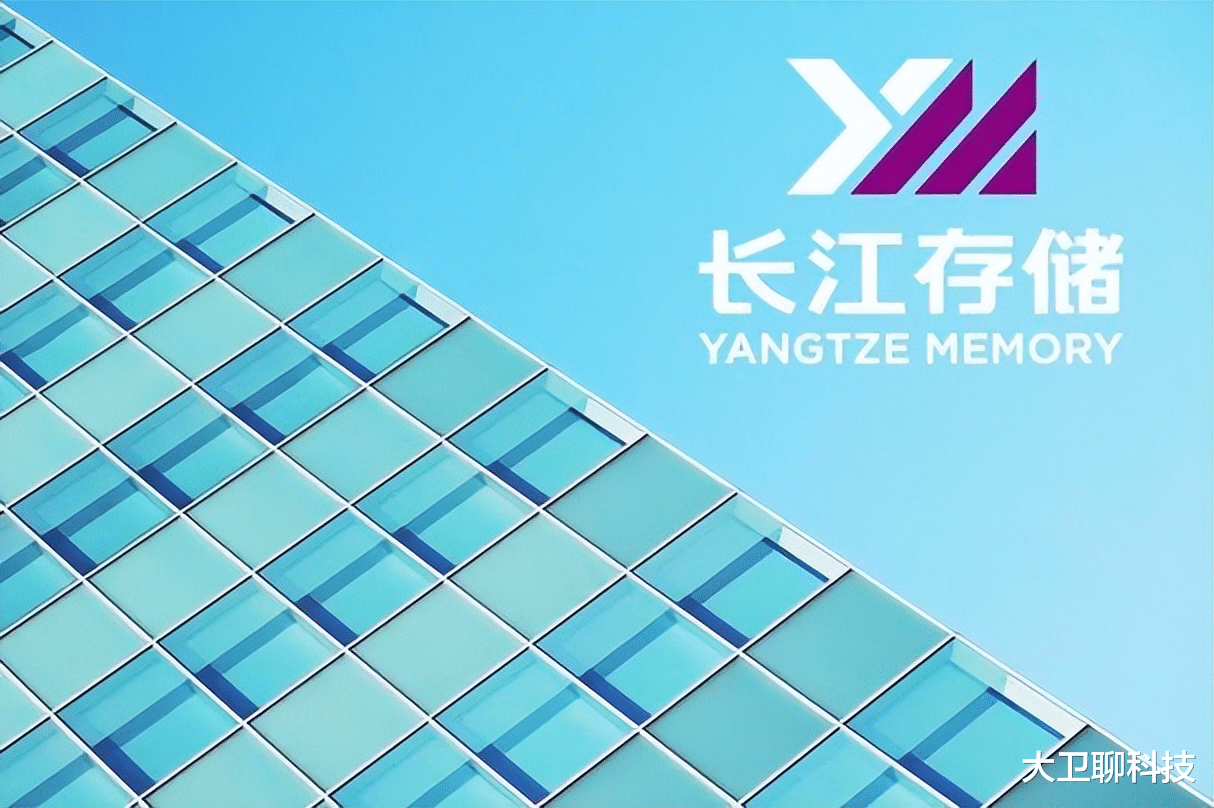 美韩垄断93%存储芯市场，中企实力突围，从“卡脖”到“挺直腰杆”