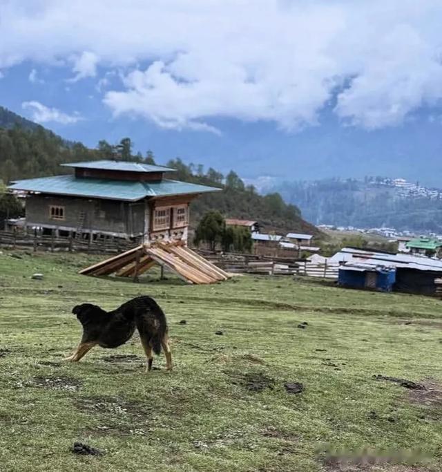 32岁章泽天冒雨爬山，素颜依旧能打，穿登山裤脚踝超细又瘦了