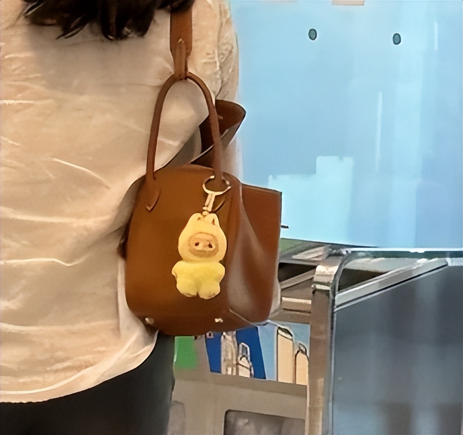 陈凯歌夫妻现身日本，他头秃背驼但很精神，俩人行李多像是要长住