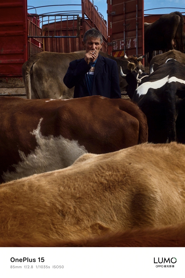 一加15首次搭載OPPO LUMO凝光影像：有史以來拍照效果最好的產品