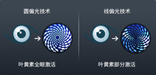 飞利浦EVNIA舒视蓝4.0显示器评测：玩游戏也能同时护眼