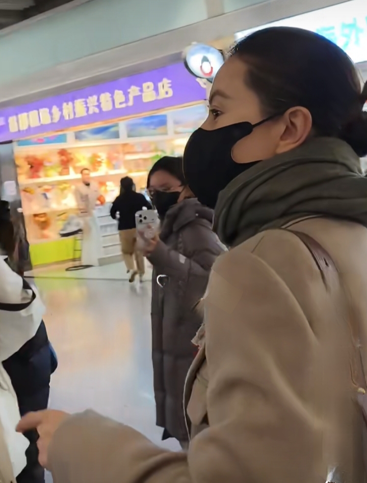 高圆圆机场路透,盘发搭驼色大衣,美貌与气质并存