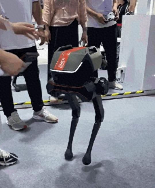 专访逐际动力张巍:不搞定最后一公里,会“杀死”机器人落地