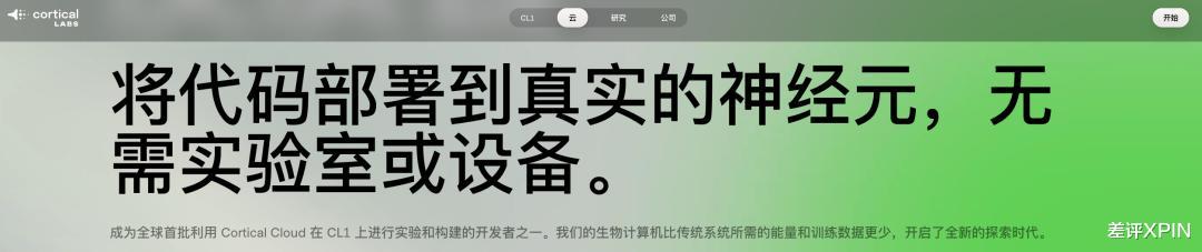 用人脑细胞跑AI,我快搞不懂这个世界了