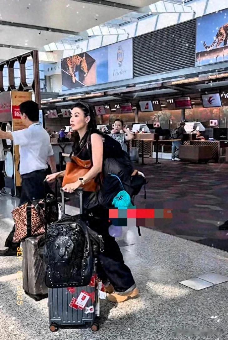 张柏芝现身上海虹桥机场梳着脏辫拿着十多个包化身大力士令人佩服