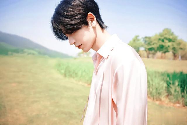 少年感十足的国民偶像洗牌，白敬亭9檀健次8吴磊7王一博6成毅第2