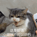 iPhone一鍵制冷模式？蘋果這隱藏功能有點騷啊