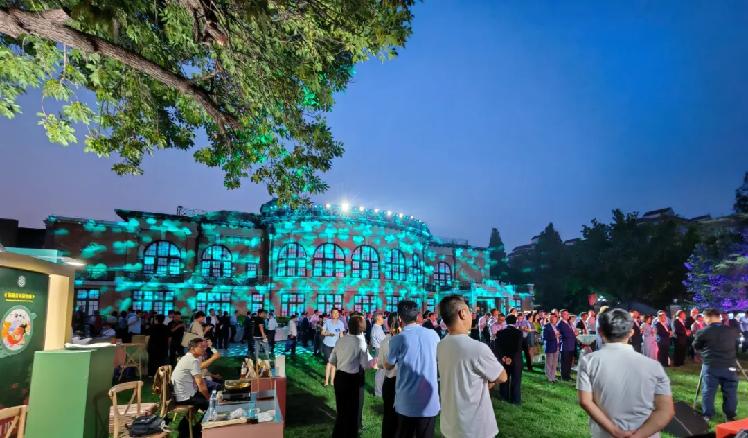 光峰專顯助力2025達沃斯論壇，T Pro系列點亮3D Mapping光影秀