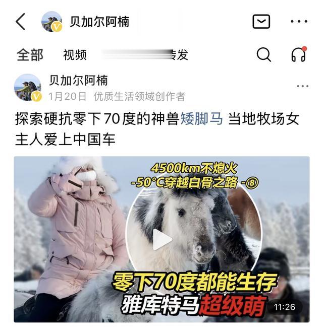 貝加爾阿楠創作產生的困境與后續破局的建議