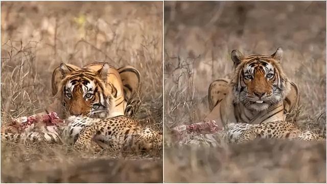 30张活久未见的照片:迈克尔杰克逊生前要演蝙蝠侠!定妆照都拍了