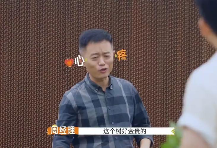 知人知面不知心！孙艺洲无视名贵草表情淡漠，全靠杨迪怒吼挽回