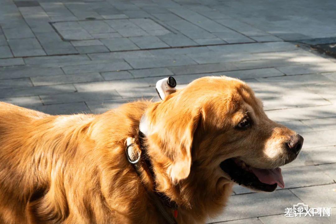 影石剛發布的這臺口袋相機，建議友商直接“抄作業”