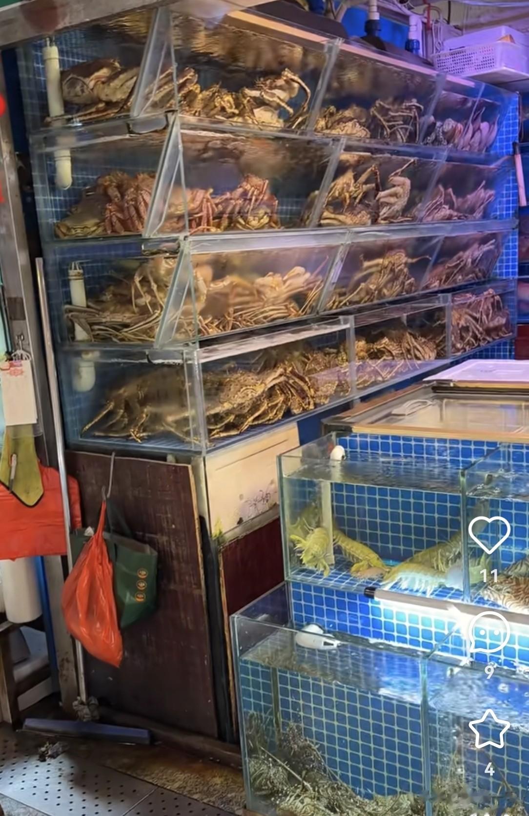 杜淳陪老婆逛菜场很会砍价，王灿当街吃水果不嫌脏！女儿很黏爸爸