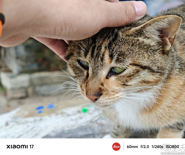 小米17首发评测:外观极致精致,配置均衡无短板