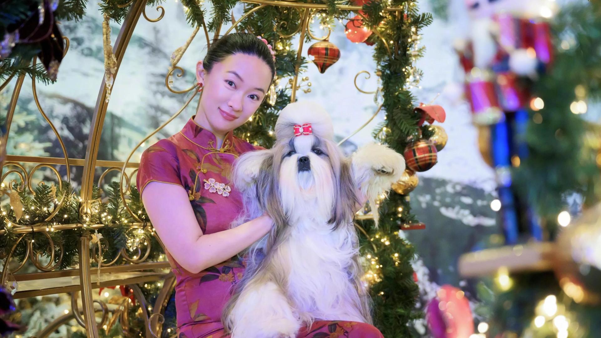 霍思燕的狗获国际大奖，穿旗袍走秀，杜江开心疯了：燕燕为你骄傲