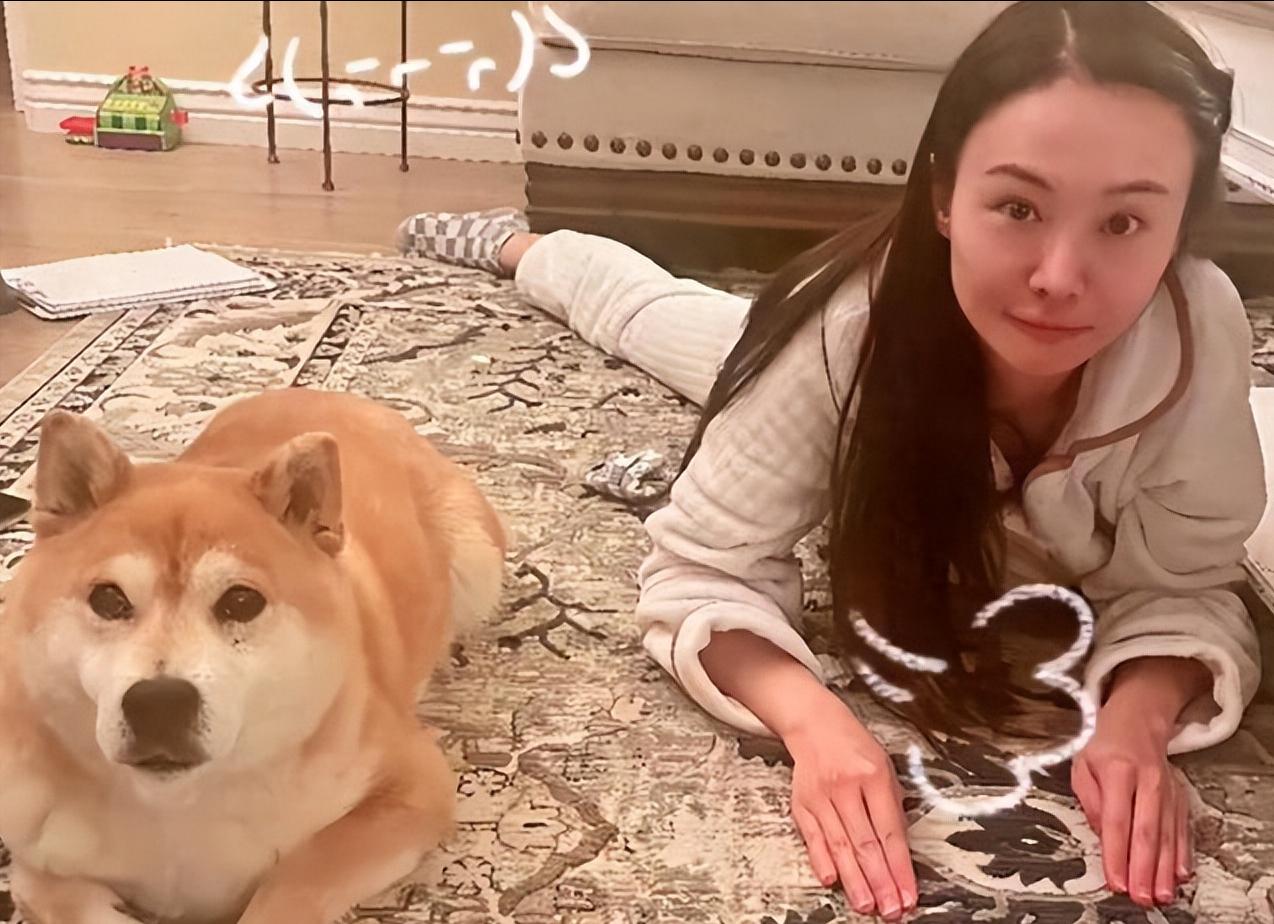 “封杀”5年后，34岁郑爽财力现状被扒，结果估计和你想得不一样