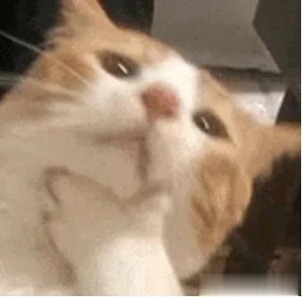 阿里闪电入局Agent Infra!智能体新基建亮相WAIC