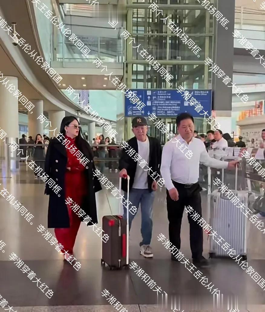 李湘和前夫王岳伦从伦敦回国,两个人在机场同框,身材好胖