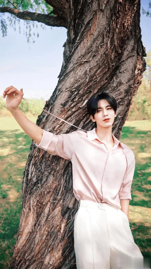 少年感十足的国民偶像洗牌，白敬亭9檀健次8吴磊7王一博6成毅第2