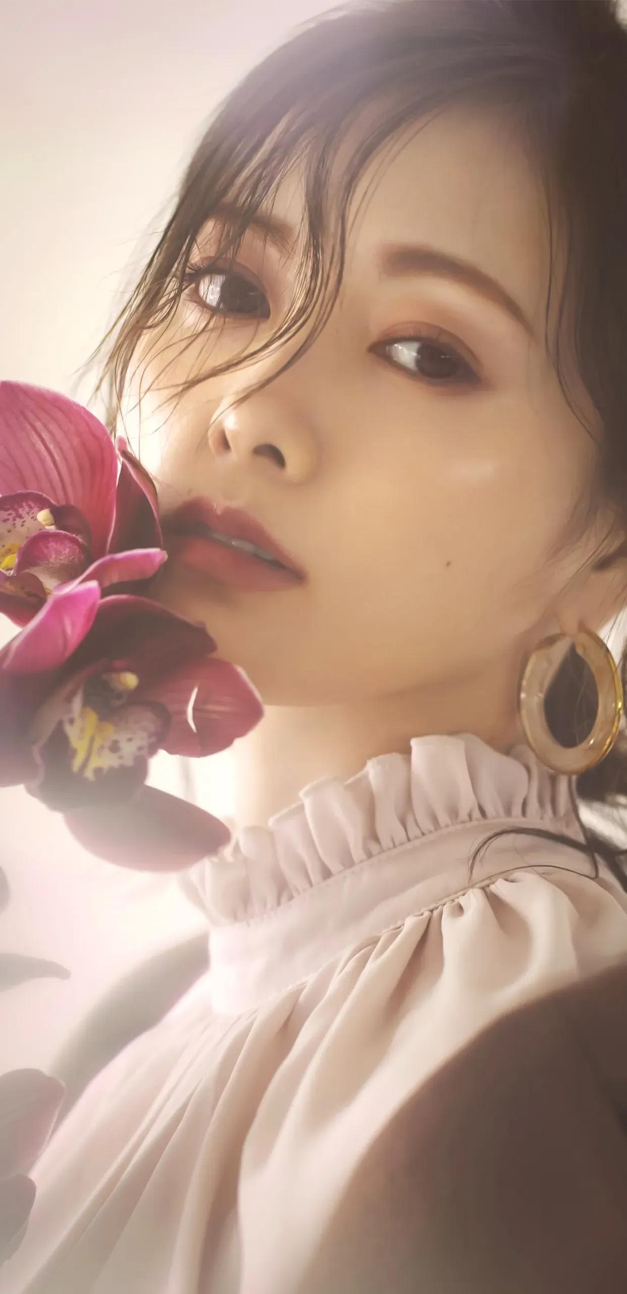 白石麻衣的美图