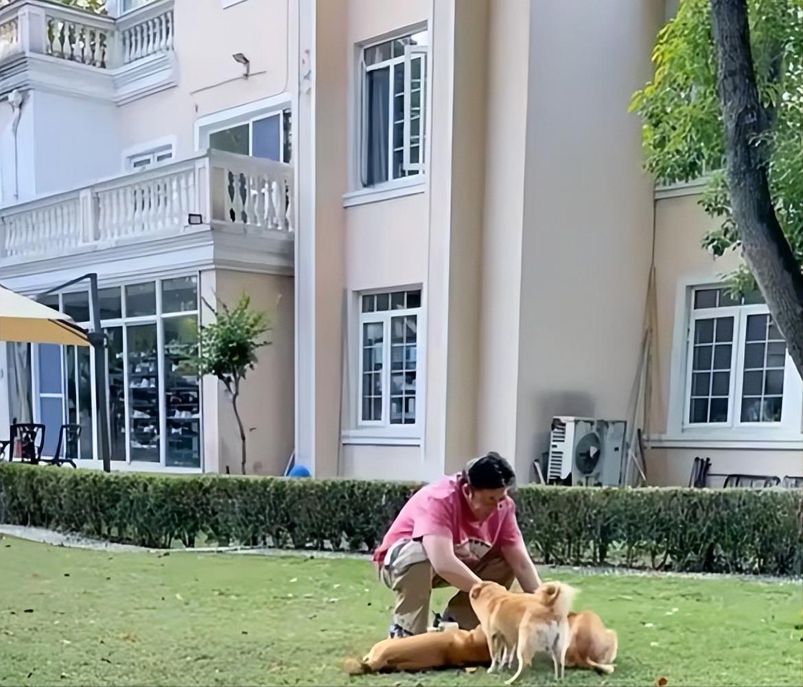 中国赚钱美国花？老戏骨祖孙三代，在美奢华享乐过上人上人生活