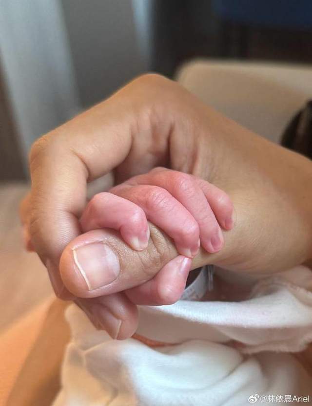 42岁林依晨拼二胎喜得男宝！高龄产子引争议，发长文解释是自愿！