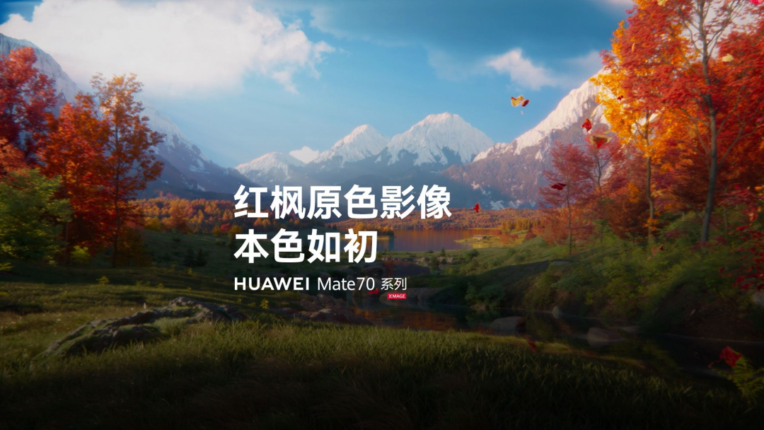 華為登頂國內手機市場，當仁不讓！