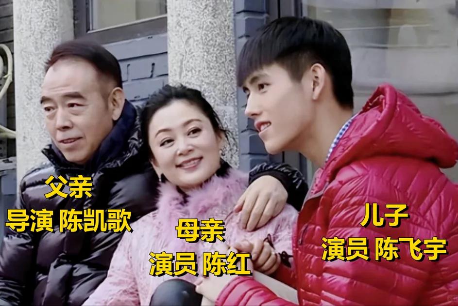 73岁陈凯歌也没想到，自己仅剩的体面，会被儿子陈飞宇亲手扯下