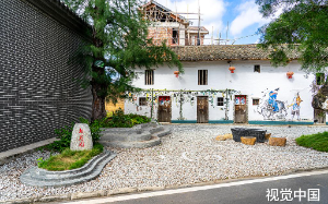 关系户多次抢我功劳，我一个电话到省里后，全镇领导慌了……