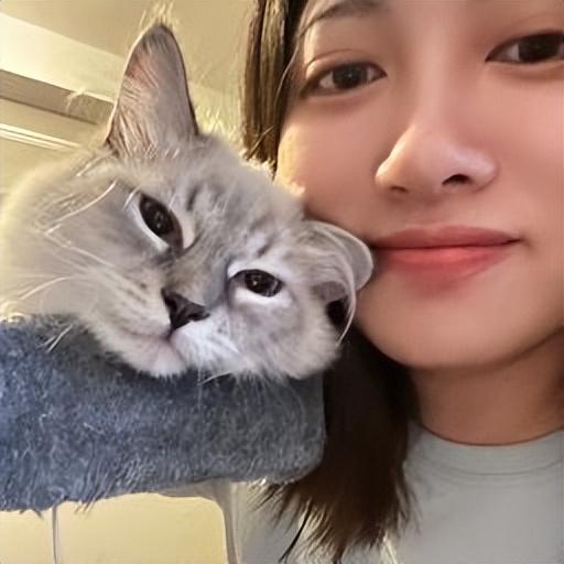 2025谷歌研究学者计划名单:吴佳俊、Mamba作者Albert Gu等获奖