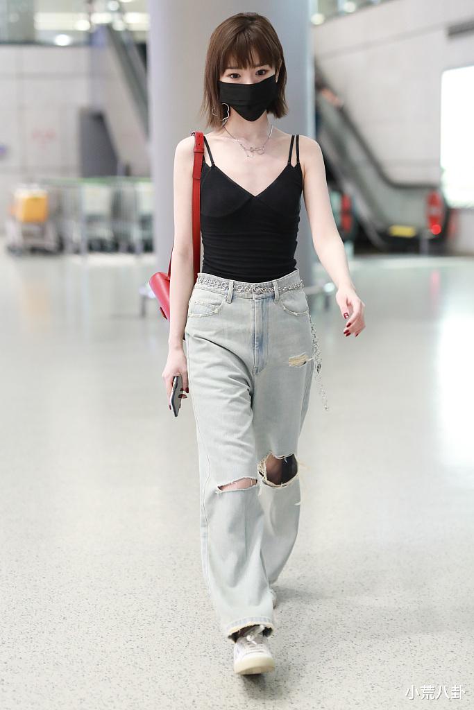 陈哲远，毛晓彤，杨洋，黄晓明，景甜，马伊琍