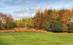 我刚退休，儿子就送我去养老院