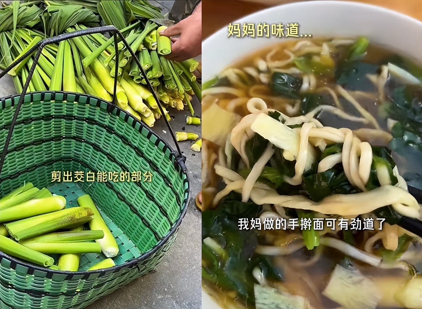 44岁朱丹回金华老家！穿水靴割茭白，吃大碗猪油面， 妈妈罕见露面