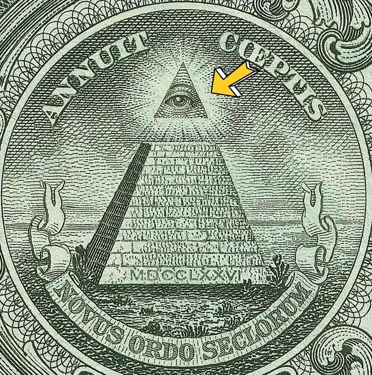 Lisa 奥斯卡舞台背后的眼睛，揭示了她闯美成功的原因！